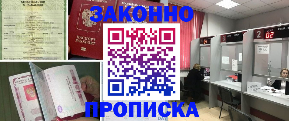 прописка в квартире в Звенигово